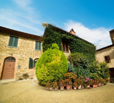 Montalcino içinde küçük bir kare çiçeklenir