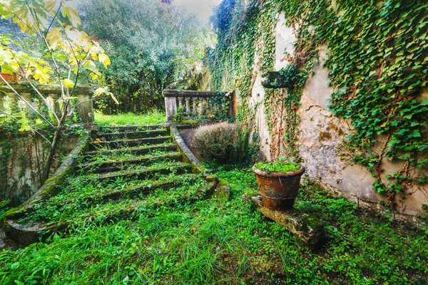 Escaleras en un jardín abandonado en Toscana — Foto de Stock
