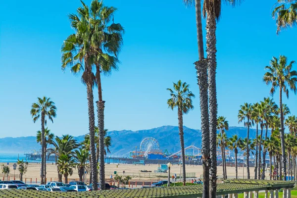 Santa Monica'da palmiye ağaçları — Stok fotoğraf