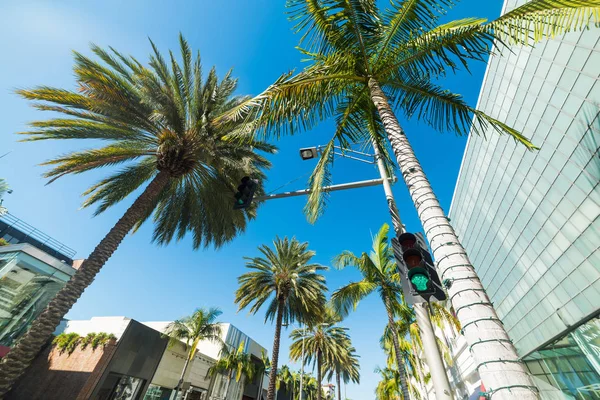 Palm trees in Rodeo drive — Stock Photo, Image