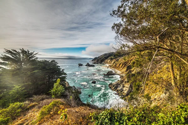 Planten door Big Sur rotsenstranden — Stockfoto