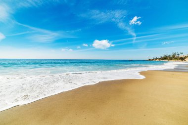 altın sahil Laguna Beach
