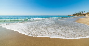 altın sahil Laguna Beach