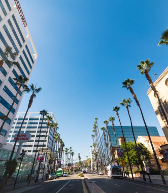 Gökdelenler ve palmiye ağaçları Beverly Hills