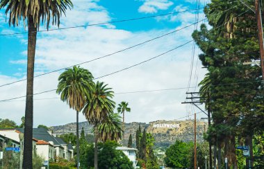 Hollywood işareti ön planda palmiye ağaçları ile