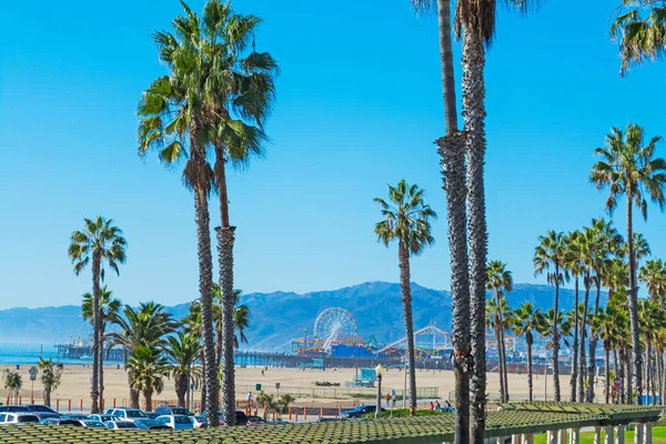 Palmiers en Santa Monica — Photo