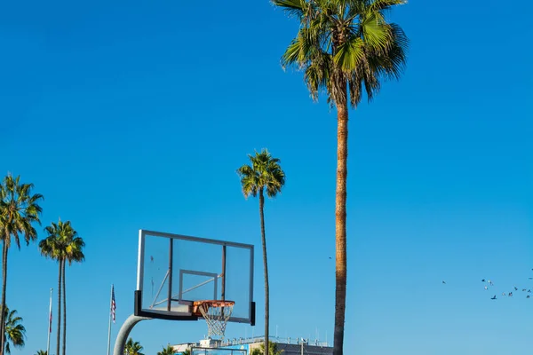 Kosárlabda hoop és pálmák a Venice beach — Stock Fotó