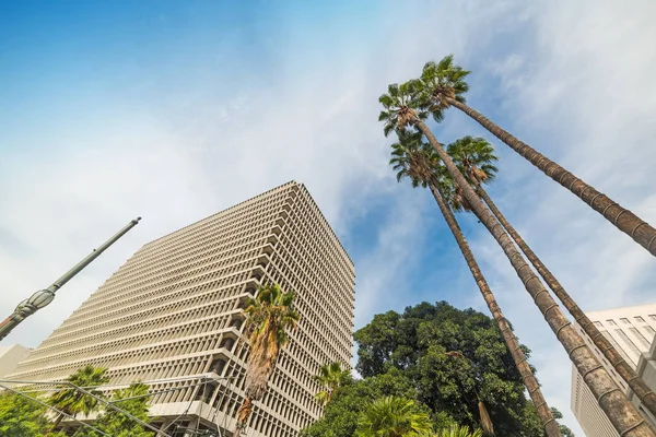 Palmeras en el centro de Los Ángeles — Foto de Stock