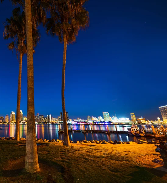 Palmbomen in Coronado island — Stockfoto