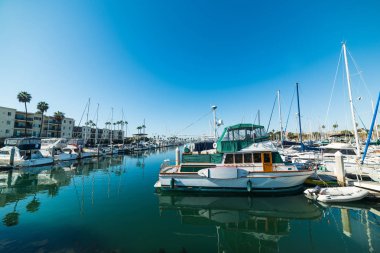 Oceanside Harbor tekneler