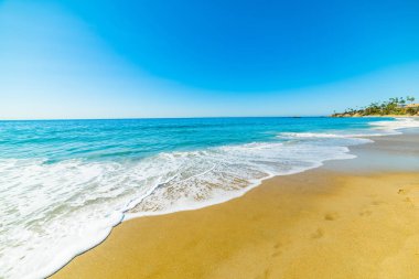 altın sahil Laguna Beach