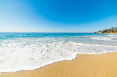 altın sahil Laguna Beach