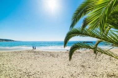 sahile Laguna Beach tarafından yürüme Çift