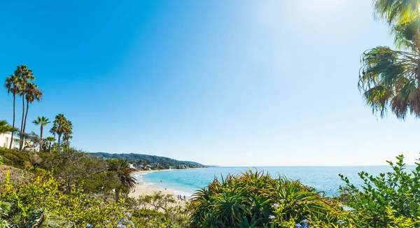 Palmeras junto al mar en Laguna Beach — Foto de Stock