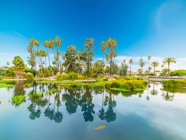 Echo park on a clear day — Stock Photo, Image