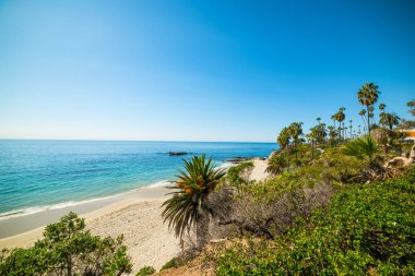 avuç içi sahile Laguna Beach tarafından