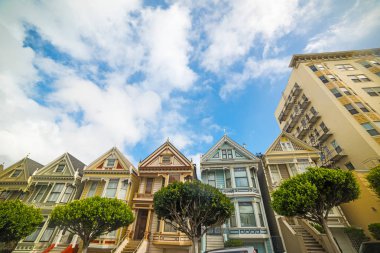 San Francisco 'da boyalı kadınlar