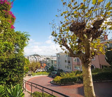 San Francisco 'daki Lombard Caddesi.