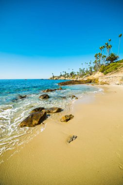 altın kum Laguna Beach