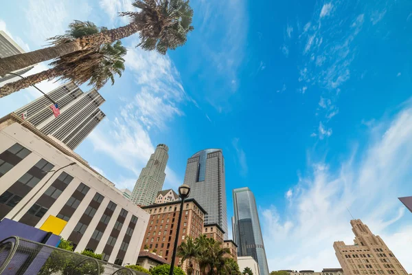 Palmen und Wolkenkratzer in der Innenstadt von Los Angeles — Stockfoto