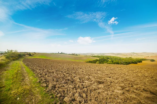 Brown and green field under a blue sky — Stock Photo, Image