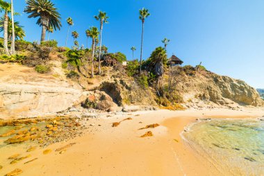 Laguna Beach shoreline