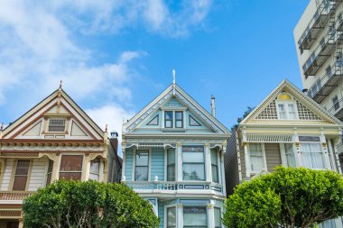 Dünya ünlü boyalı bayanlar San Francisco