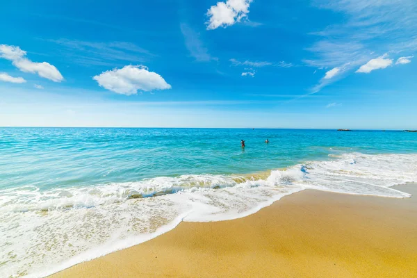 Wunderschönes Ufer am Lagunenstrand — Stockfoto