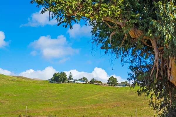 Casa em uma colina verde — Fotografia de Stock