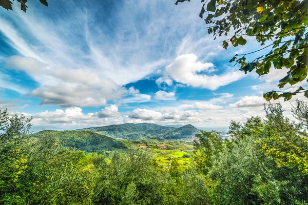 Verde valle in Toscana — Foto Stock