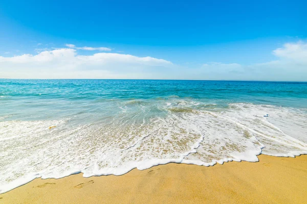 Costa dourada em Pacific Beach — Fotografia de Stock