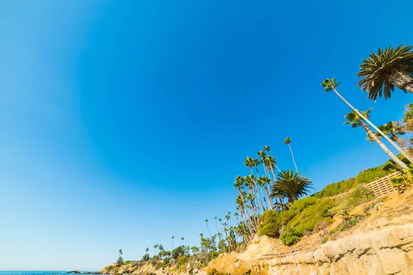 拉古纳海滩上的悬崖 — 图库照片