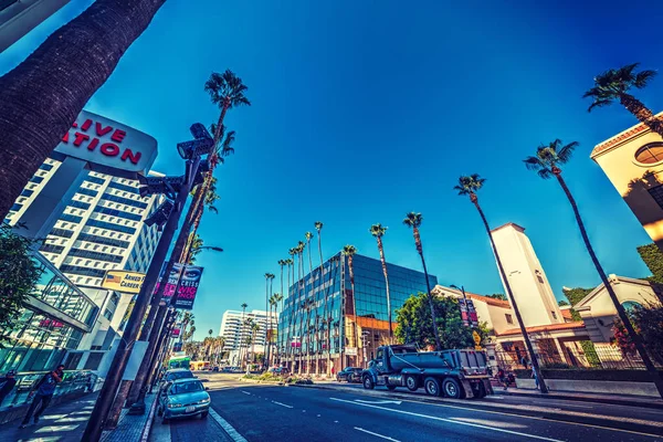 Palm trees in Hollywood — Stock Photo, Image