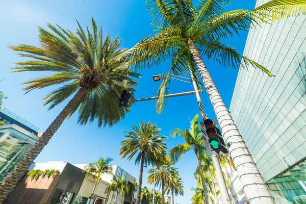 Palme in Rodeo drive — Foto Stock