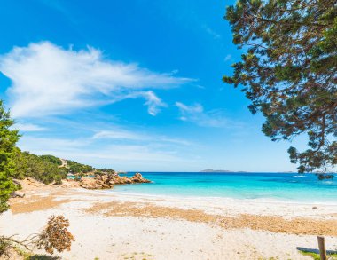 net bir gün plajda capriccioli