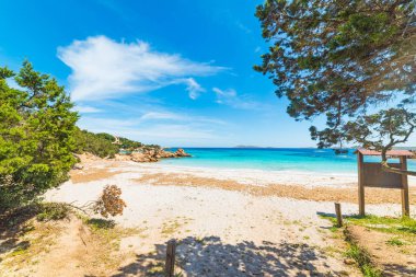 net bir gün plajda capriccioli