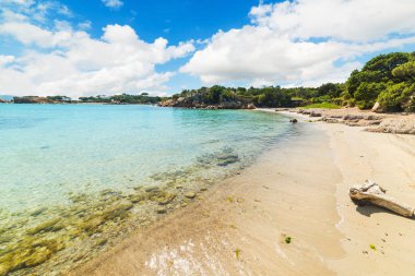 dalgaların karaya attığı odun Costa Smeralda içinde