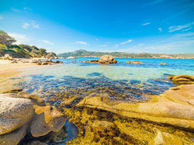 Cala dei GInepri, Sardunya