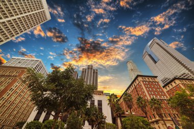 Los Angeles şehir merkezinde renkli günbatımı