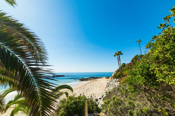 Avuç içi Laguna Beach