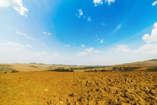 Campo marrón en Toscana — Foto de Stock