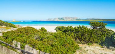 La Pelosa Beach'te kule