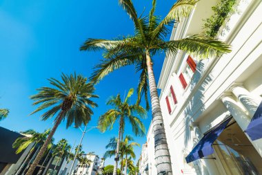 Avuç içi Rodeo Drive