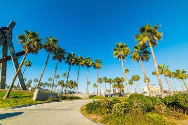 Venice plajında güneşli bir gün