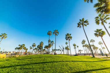 Venice beach güneşli gün