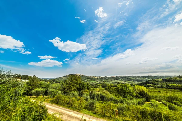 Um vale verde — Fotografia de Stock