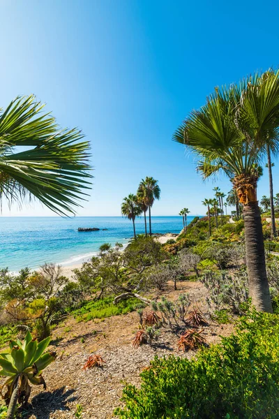 Laguna Beach shoreline — Stok fotoğraf