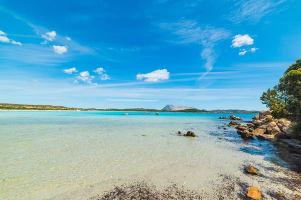 Stenar i Cala Brandinchi — Stockfoto