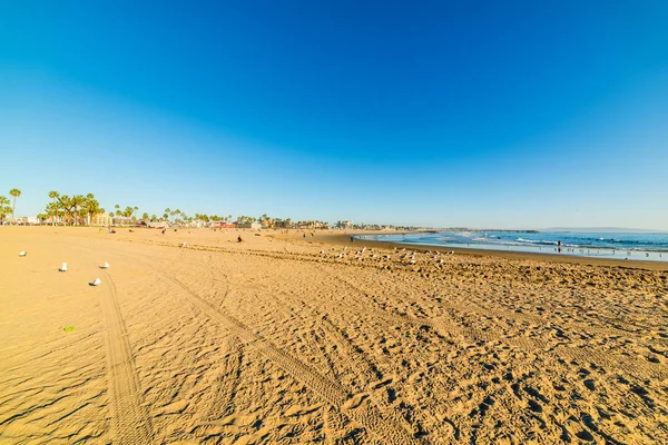 Blauwe hemel over Venice beach — Stockfoto