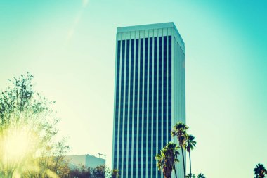 L.A batımında gökdelen ve palmiye ağaçları.